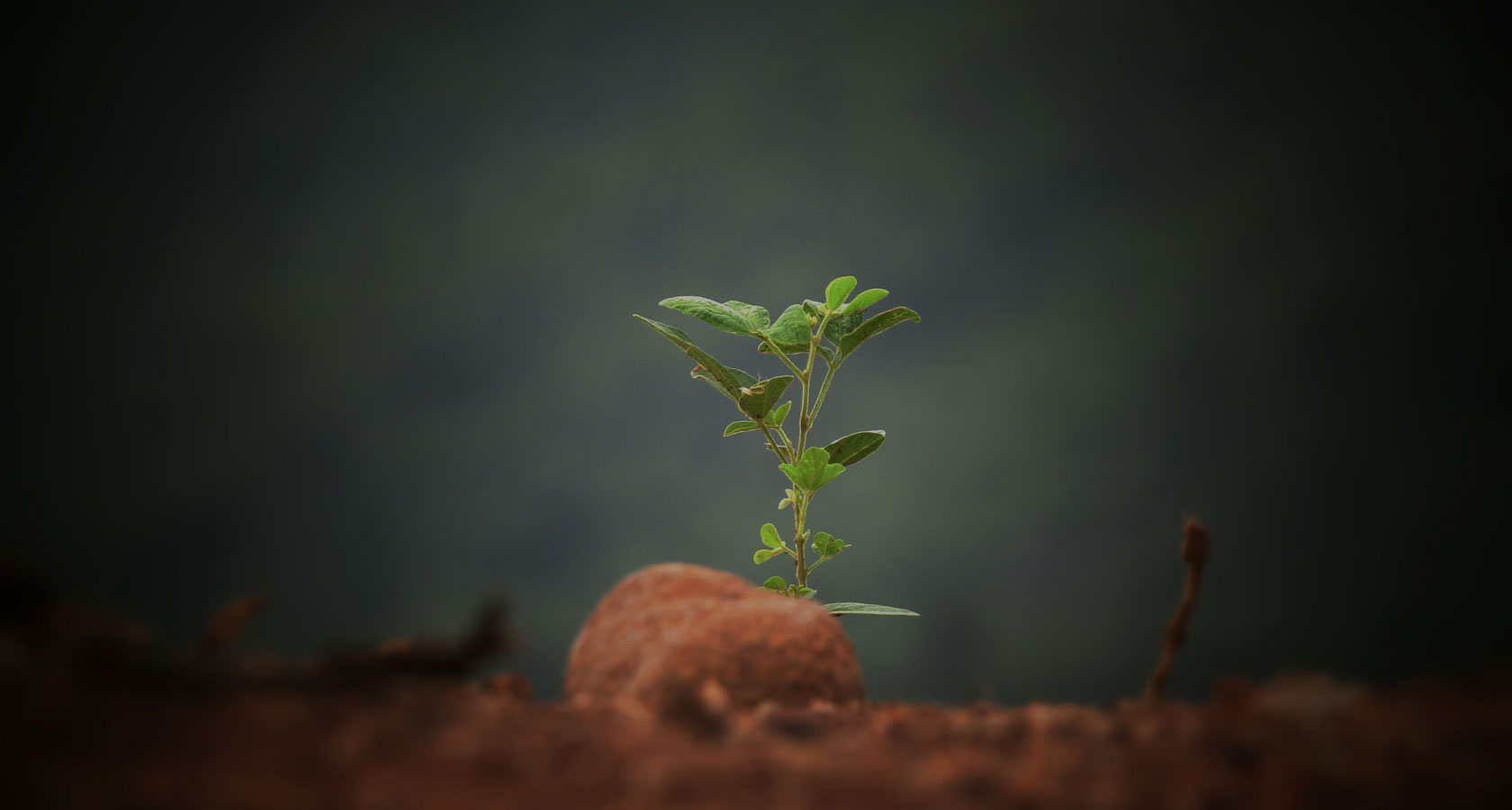 OB视讯·(中国区)官方网站